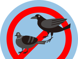 千葉・東京・茨城の害鳥駆除対策