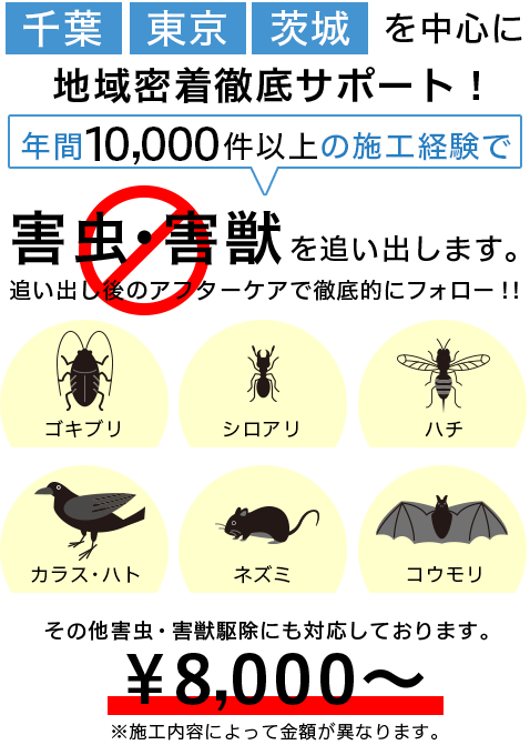 年間10,000件以上の千葉・東京・茨城を中心に害虫・害獣・害鳥駆除の実績
